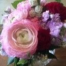 따뜻한한의원 이미지