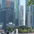 ㈜포레스트테이블 하이바이볼 | 8월 싱가포르 여행: 출발 비행꿀팁부터 도착까지 핵심 관광코스, 먹거리 모음 zip