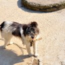 유선농장 이미지