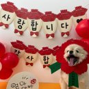 놀러오개(도화점) 이미지