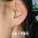 강동실비