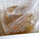 오도독 | 제철 미더덕회 택배 후기, 오도독 식감에 중독!