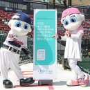 식품안전솔루션