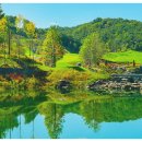 영동 일라이트CC 이미지