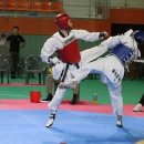 영광태권도체육관 이미지