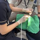 탄탄치과기공소 이미지