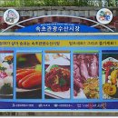 속초관광수산시장(구 속초중앙전통시장) 이미지