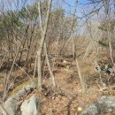 수종농장 이미지