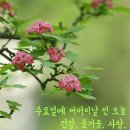 믿음 - 세종특별자치시 보통1길 124 | 믿음
