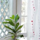 생활풍수 이미지