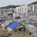 서해대학 이미지