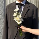 부산 꽃 도매 자유시장 봄봄 플라워 부케 구매 후기 🌸 웨딩촬영 생화 부케 가격 & 꿀팁