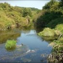 모곡낚시터 이미지