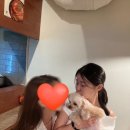 사평대로16길 20 (3) | 뜨겁고 바빴던 일상 속 주간일기 [07.21-07.27]