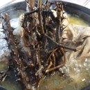 곰배령 주니네 이미지