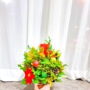 오성초등학교병설유치원 이미지