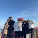 조양 전통시장 | 설 연휴, 가족과 함께 떠나는 레트로 감성 여행 코스 (루지/대룡시장/풍물시장/강화솥밥집/조양방직)