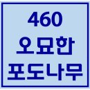 460. 오묘한포도나무 파트별 연습 동영상 이미지