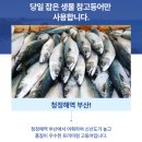 자반고등어 | 다대포 국산 자반고등어 후기 비린내 없는 고등어구이 추천