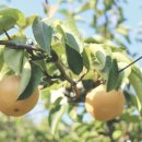 이화펜션 이미지