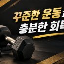 웰니스바디아카데미
