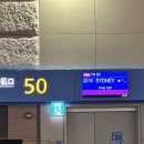 호주 시드니 티웨이 항공편 후기 및 좌석 추천 | TW501, TW502