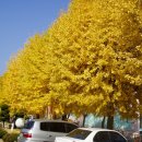 길안초등학교 이미지