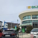 청국장과 생선구이 | 욕지도에서 먹은 건강한 백반한상! 고소한청국장과 톳밥, 생선구이가 있는 장선생밥집 후기