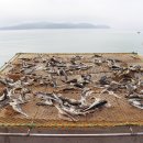 고대도4 이미지