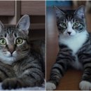 심경목장 이미지