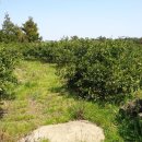 수산리농장 이미지