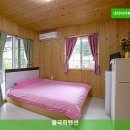 들국화 펜션 | 강원도 가성비 숙소 | 들국화펜션 솔직후기