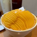 시즈니 seasony | 신라호텔 안부럽다 생망고 듬뿍! 성수 망고빙수 시즈니 찐후기