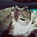 메리엘산부인과 이미지