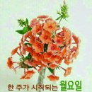 꽃다운 한 주 Daum카페