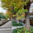 아도니스헬스케어 이미지