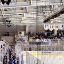 안양도시공사(빙상장) | 안양 HL 아이스하키 티켓 예매 방법과 경기 직관 후기