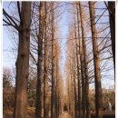 개암마을회관 | [20110220]서초알프스종주(구룡산ㆍ대모산ㆍ인능산ㆍ청계산ㆍ우면산) - 5부