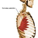 라온휘트니스PT 이미지