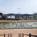 옥천 풋살장 이미지