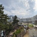 골드당구장 | [삼척쏠비치] 삼척 쏠비치 3월 골드 가든테라스 오션뷰 후기