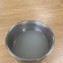 초가밀면 | 경주, "불국사 밀면" 솔직후기, 내돈내산 추천, 주차, 웨이팅