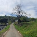 경기둘레길 안성41코스 이미지