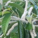 율이농장 이미지