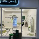 일산 라페스타 기념일 도시락케이크 달다구리케이크 내돈내산 후기