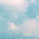 대연본안과의원 이미지