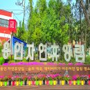 용인자연휴양림 이미지