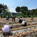 재난안전과 이미지