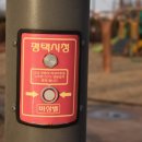 주정차단속-133 이미지