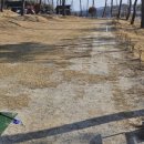 청솔골프 이미지